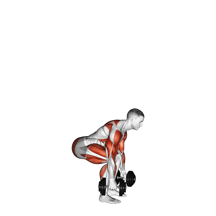 Dumbbell Clean and Press exercise demonstration for Weightlifting, Dumbbell