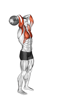 Medicine Ball Standing Overhead Throw exercise demonstration for Triceps, and Upper Arms, Medicine Ball