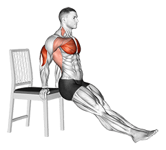 Dip on Floor with Chair exercise demonstration for Triceps, and Upper Arms, Body weight