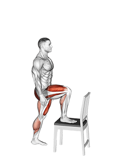 Step-up on Chair exercise demonstration for Quadriceps, and Thighs, Body weight