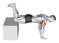 Decline Kneeling Push-up on Box exercise demonstration for Chest, Body weight