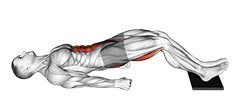 Sliding Floor Bridge Curl on Towel exercise demonstration for Hamstrings, and Thighs, Body weight