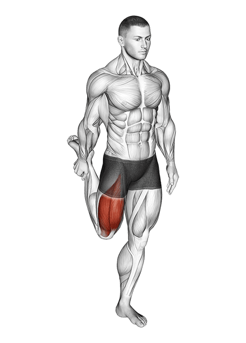 Standing Balance Quadriceps Stretch exercise demonstration for Quadriceps, and Thighs, Body weight