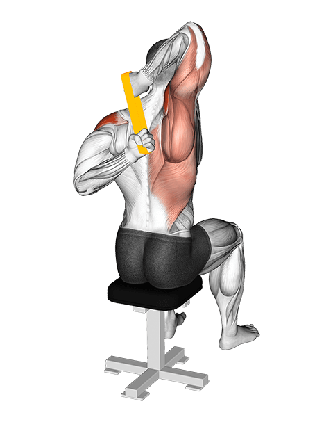 Resistance Band Shoulder Stretch Behind the Back exercise demonstration for Shoulders, Resistance Band