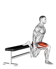 Bulgarian Split Squat exercise demonstration for Quadriceps, and Thighs, Body weight