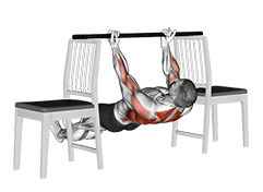 Inverted Underhand Grip Row between Chairs exercise demonstration for Back, Body weight