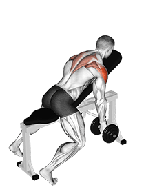 Dumbbell Incline T-Raise exercise demonstration for Shoulders, Dumbbell