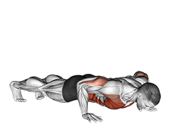 Rotational Push-Up exercise demonstration for Chest, and Waist, Body weight