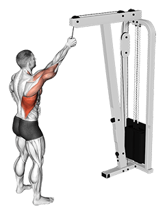 Cable One Arm Pulldown exercise demonstration for Back, Cable