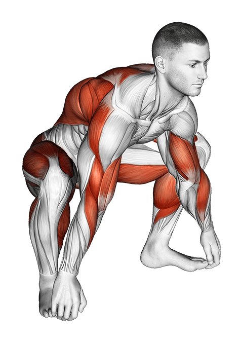 Sitting Sumo Mobility Stretch exercise demonstration for Thighs, Body weight