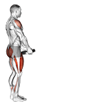 Weighted Lunge with Swing exercise demonstration for Quadriceps, and Thighs, Weighted