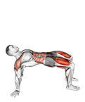 Reverse Plank with Leg Lift exercise demonstration for Quadriceps, and Thighs, Body weight