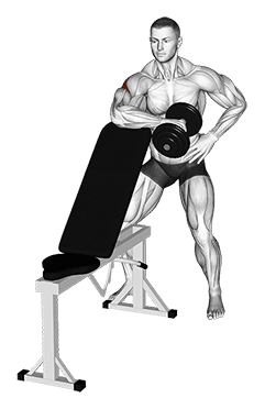 Dumbbell Bench Supported External Rotation exercise demonstration for Back, Dumbbell