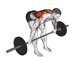 Barbell Bent Over Wide Grip Row exercise demonstration for Back, Barbell