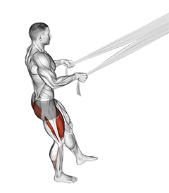 Assisted Pistol Squat with Bed Sheet exercise demonstration for Quadriceps, and Thighs, Body weight