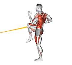 Resistance Band High Knee Lunge with Single Arm Row exercise demonstration for Back, Resistance Band