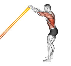 Resistance Band Skier exercise demonstration for Back, Resistance Band
