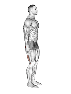 Standing Back Extension And Flexion exercise demonstration for Hips, Body weight