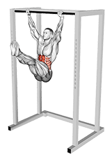 Hanging Toes to Bar exercise demonstration for Waist, Body weight