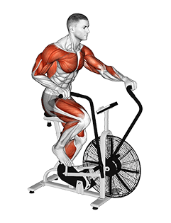 Assault Bike Run exercise demonstration for Cardio, Leverage machine