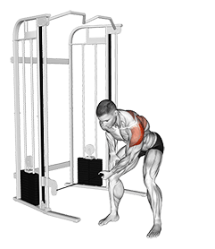 Cable Bent-Over One Arm Lateral Raise exercise demonstration for Shoulders, Cable