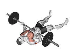 Barbell Reverse-Grip Floor Press exercise demonstration for Triceps, and Upper Arms, Barbell