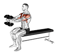 Dumbbell Seated Upright Alternate Squeeze Press exercise demonstration for Chest, Dumbbell