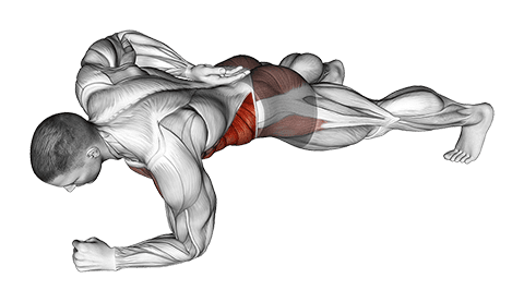 One Arm Front Plank exercise demonstration for Waist, Body weight