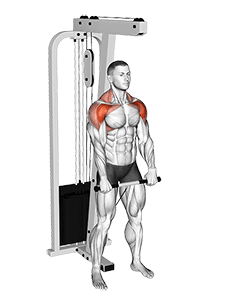 Cable Standing Front Raise Variation exercise demonstration for Shoulders, Cable