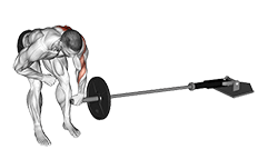 Landmine One Arm Bent-Over Row exercise demonstration for Back, Leverage machine
