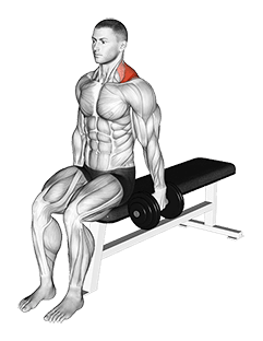 Dumbbell Seated Gittleson Shrug exercise demonstration for Back, Dumbbell