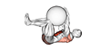 Dead Bug with Stability Ball exercise demonstration for Waist, Stability ball