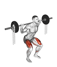 Barbell Squat with Chains exercise demonstration for Thighs, Barbell