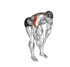 Bodyweight Bent Over Rear Delt Fly exercise demonstration for Shoulders, Body weight