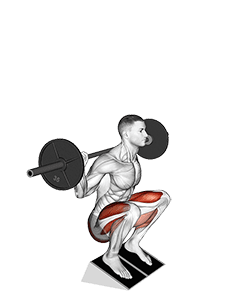 Barbell Elevated Heel Squat exercise demonstration for Thighs, Barbell