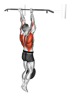 Weighted Hang Chin-Up exercise demonstration for Back, Weighted