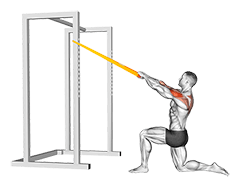Resistance Band Half Kneeling Face Pull exercise demonstration for Shoulders, Resistance Band