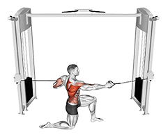 Cable Half Kneeling Push Pull exercise demonstration for Back, Cable
