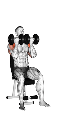 Dumbbell Seated Close Grip Press exercise demonstration for Shoulders, Dumbbell