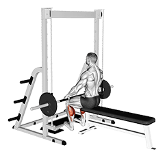 Smith Seated Calf Raise exercise demonstration for Calves, Smith machine