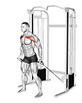 Cable Standing Alternate Low Fly exercise demonstration for Chest, Cable