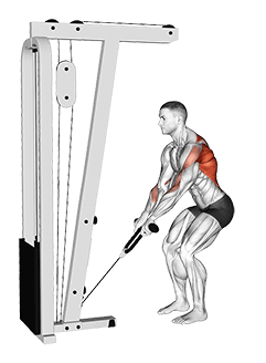 Cable Low Row with Rope Attachment exercise demonstration for Back, Cable