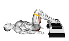 Resistance Band Elevated Glute Bridge exercise demonstration for Hips, Resistance Band
