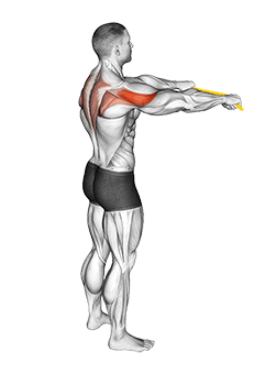Resistance Band Pull Apart exercise demonstration for Shoulders, Resistance Band