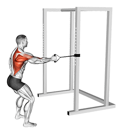 Band Standing Single Arm Row exercise demonstration for Back, Band