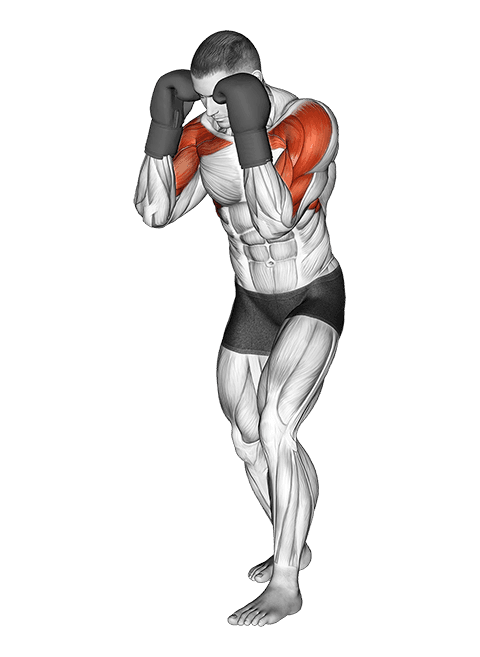 Boxing Block exercise demonstration for Plyometrics, Body weight