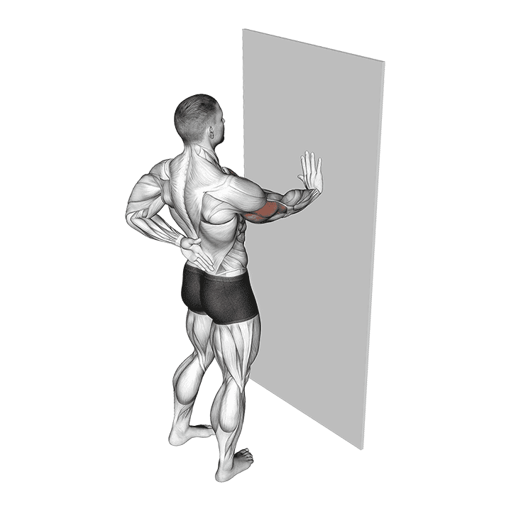 Single Arm Push-up Supported Wall exercise demonstration for Chest, Body weight