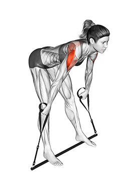 Bar Band Skier exercise demonstration for Shoulders, Stick