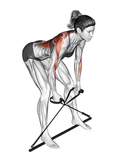 Bar Band Bent Over Row exercise demonstration for Back, Stick