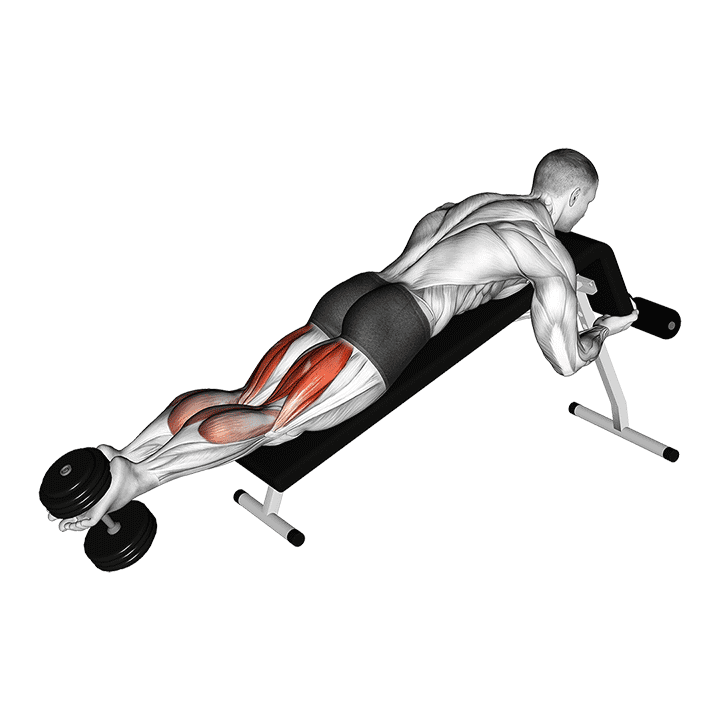Dumbbell Decline Lying Leg Curl exercise demonstration for Thighs, Dumbbell